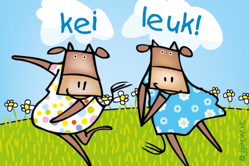 Kaart: Kei leuk!