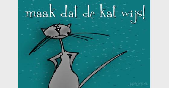 Jij is Lief - kaart: De kat wijs maken