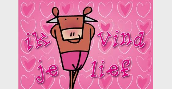 Jij is Lief - kaart: Ik vind je lief
