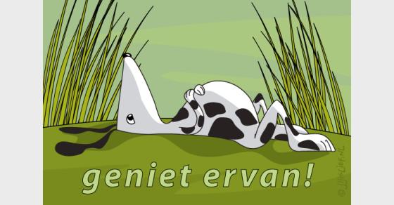 Jij is Lief - kaart: Geniet ervan!