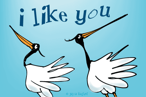 Kaart: I like you