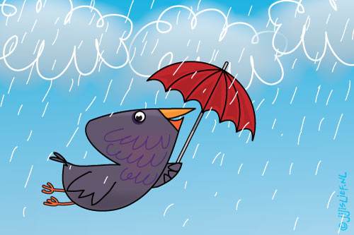 Kaart: Vogel met paraplu