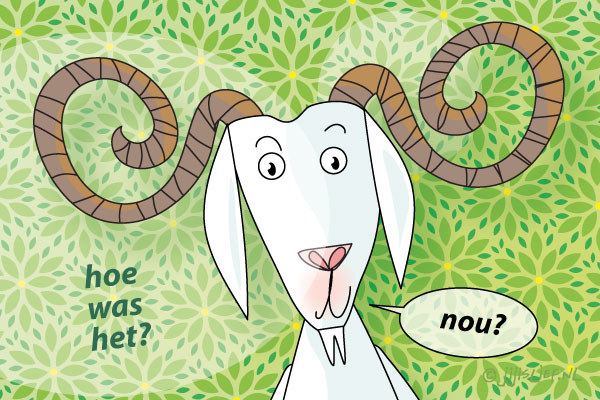 Kaart: Hoe was het, nou?