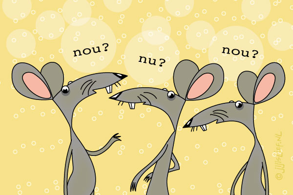 Kaart: Nou?