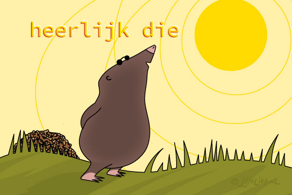 Kaart: Heerlijk die zon