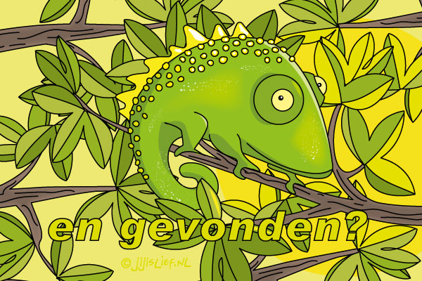 Kaart: En gevonden?