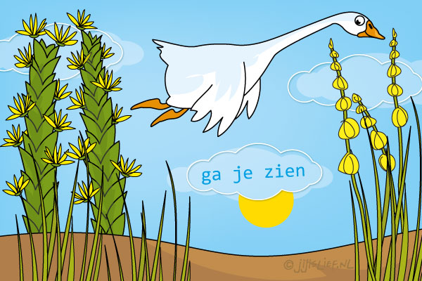 Kaart: Ga je zien