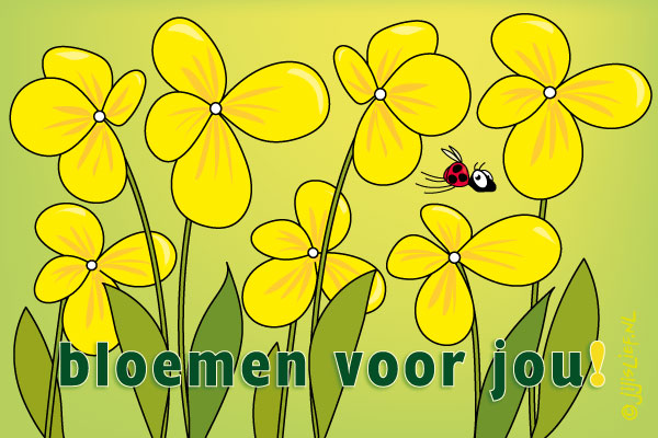 Kaart: Bloemen voor jou!