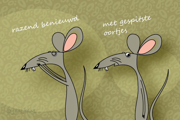Kaart: Razend benieuwd