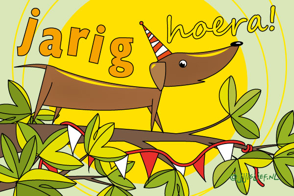 Kaart: Jarig, hoera!
