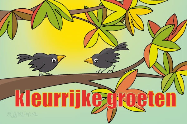 Kaart: Kleurrijke groeten