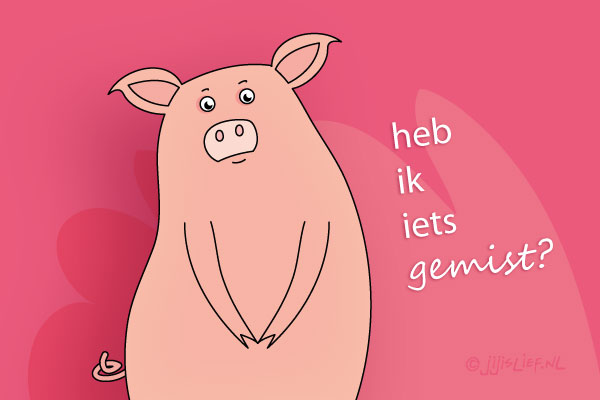 Kaart: Iets gemist?